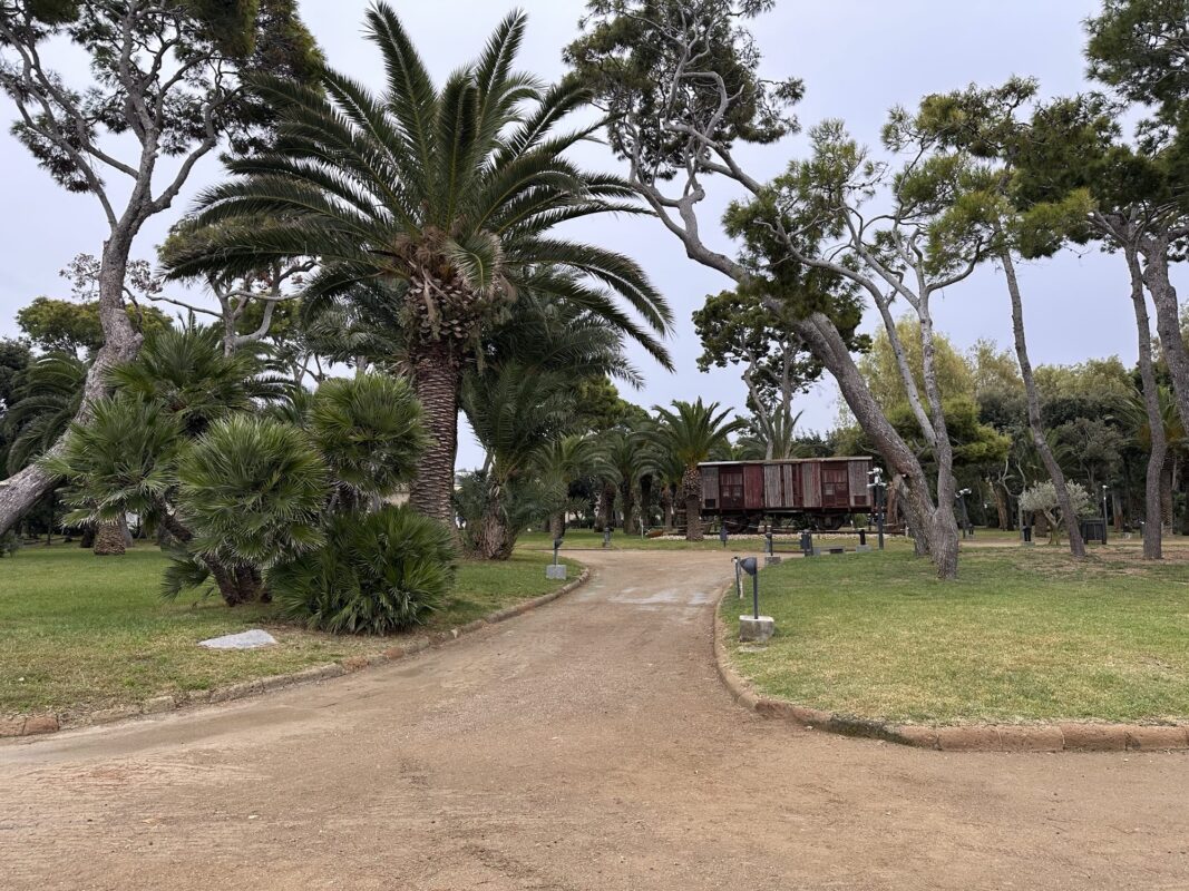 Park z palmami
