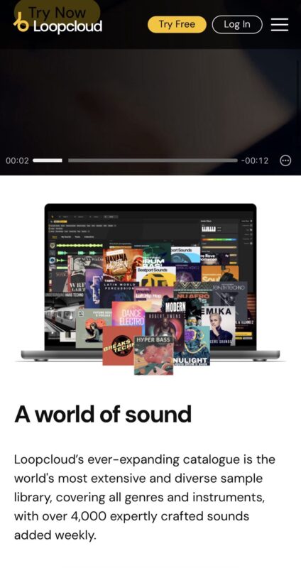 SS Loopcloud